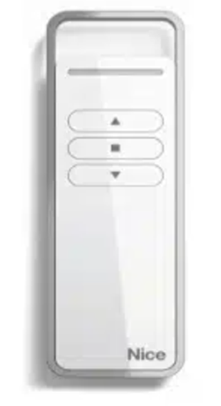 Télécommande Nice ERA P6 et P1